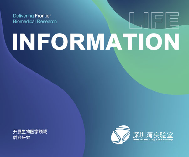 擁有專業(yè)的品牌設(shè)計(jì)服務(wù)如何幫助企業(yè)發(fā)展業(yè)務(wù)