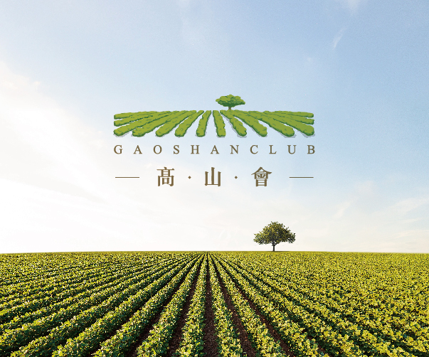 專業(yè)LOGO設(shè)計(jì)|保定領(lǐng)先品牌形象塑造服務(wù)